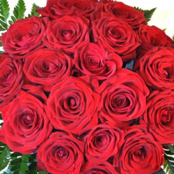 15 big Red Roses 