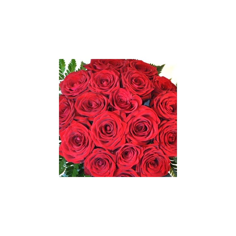 15 Red Roses 