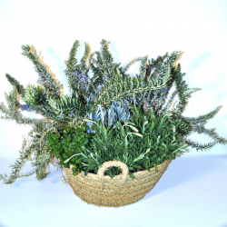 Aromatic basket plants deliver to Barcelona