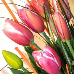 Bouquet of Tulip to barcelona