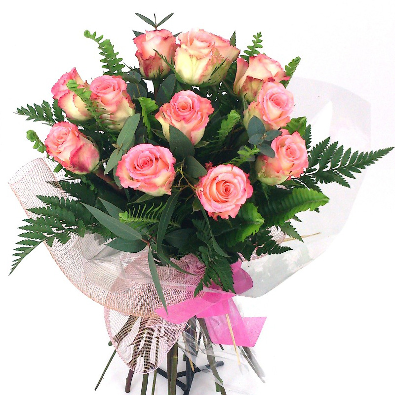 15 pink roses