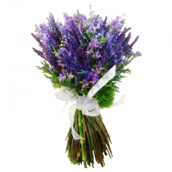 Bouquet Lavanda Barcelona