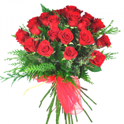 17 red roses to Barcelona.