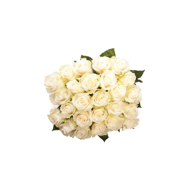 21  white roses