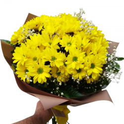 Yelow Daisies