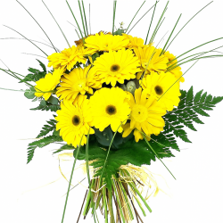 Yellow gerberas